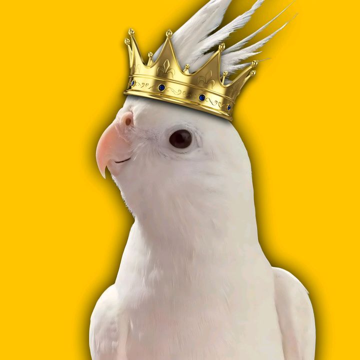 Papo de Penas