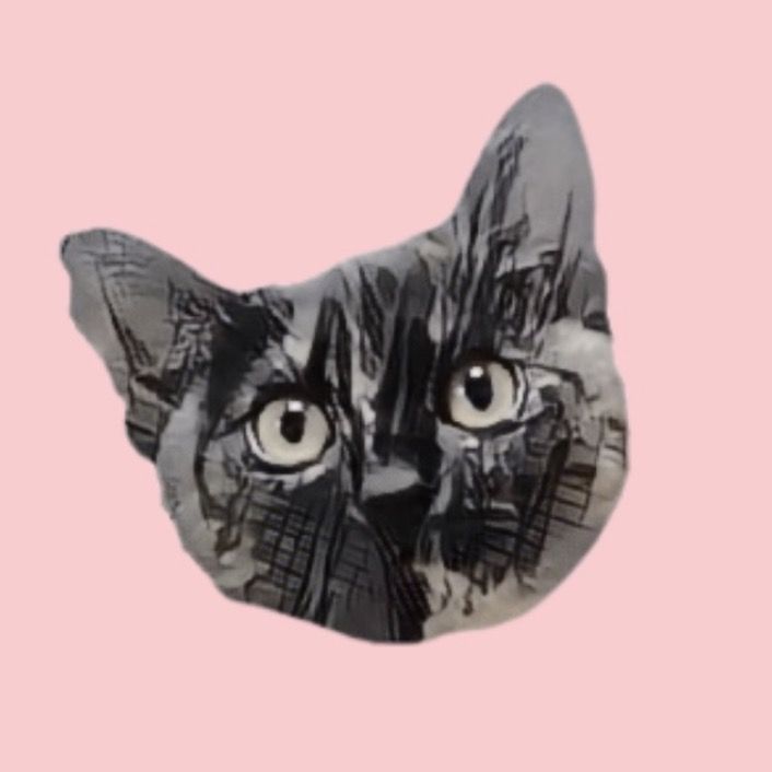 オーちゃん🐈‍⬛