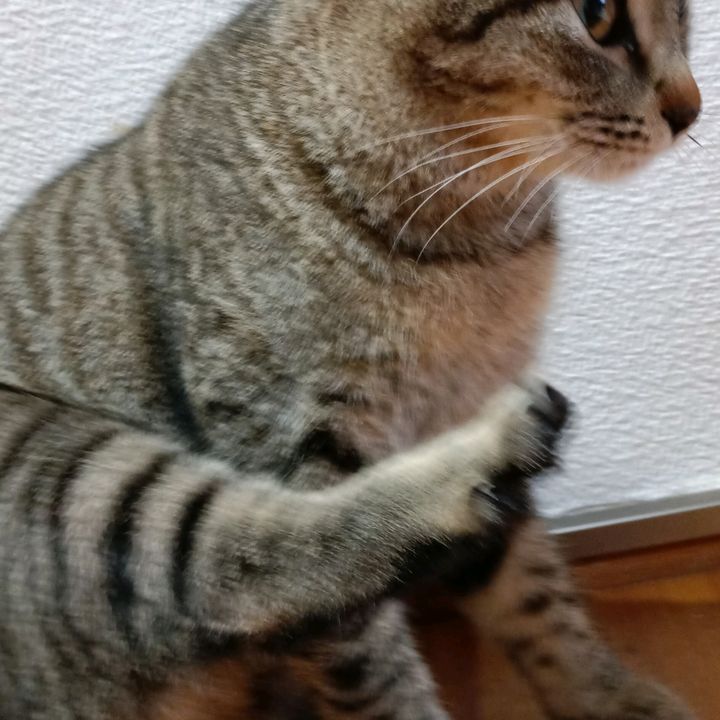 ひめ❤ちゃん