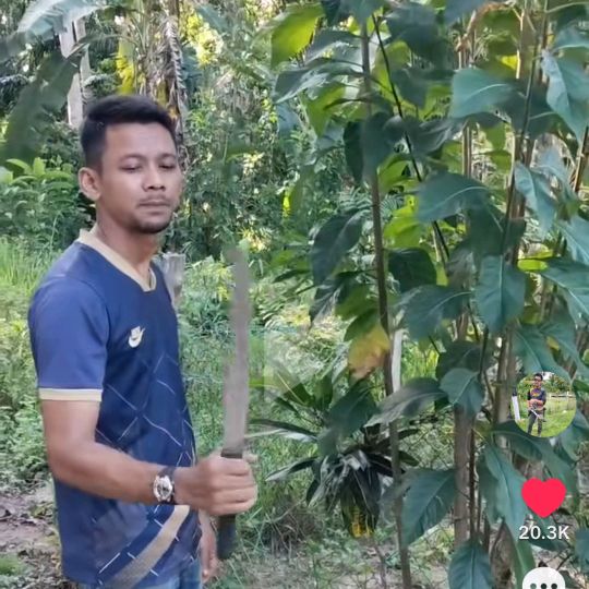 P.A KEBUN 2.0
