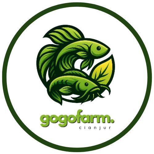 Gogo Fish Hobbies