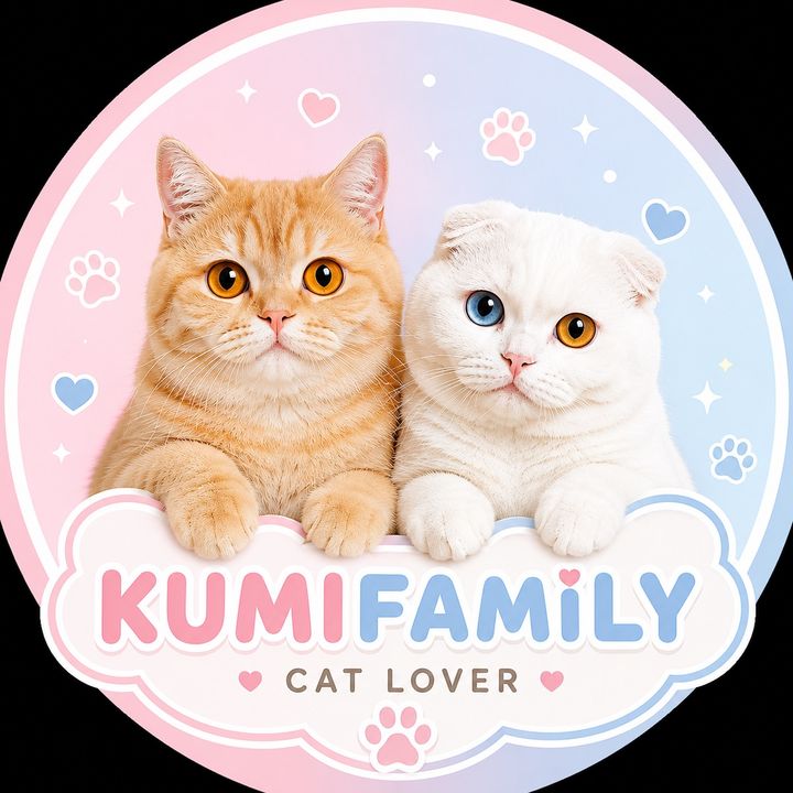 คูมิและปี๊ๆเองครับ🐈💗