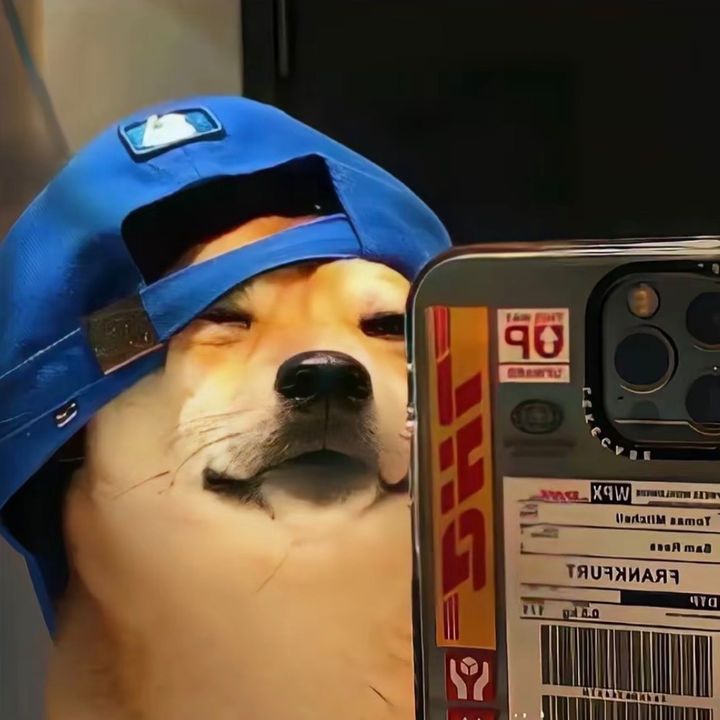 🦦