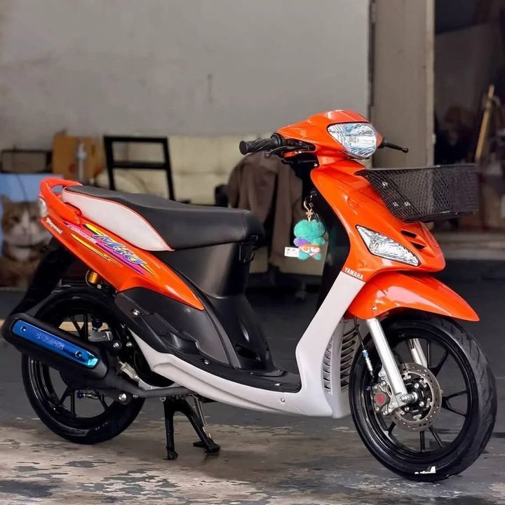 Mibot⚡️