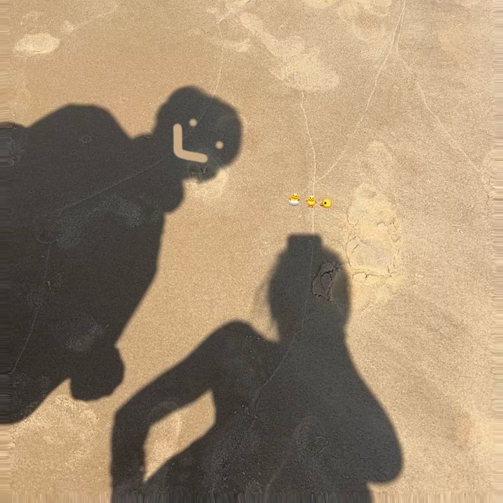 ᴠɪ̣ᴛ ᴅᴀ̀ɴɢ ʀɪ̀ᴠɪᴜ 🐣