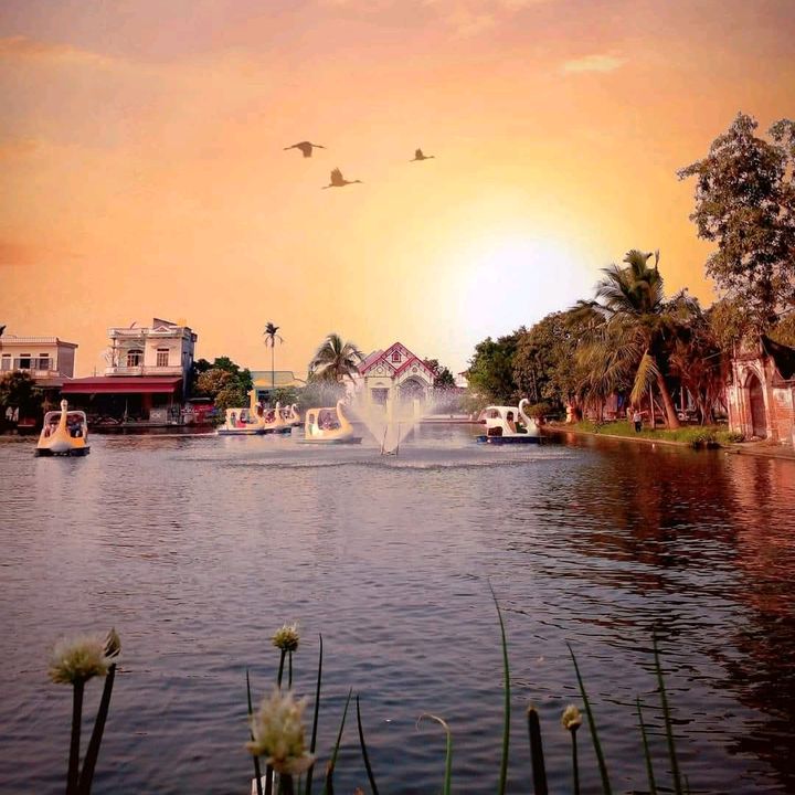 Hằng Hay Học