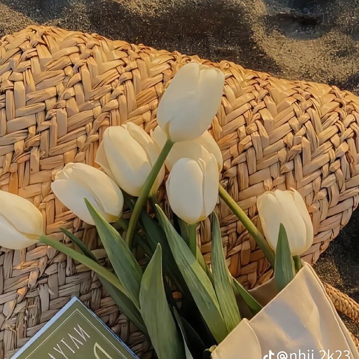Đồ đẹp tại đây
