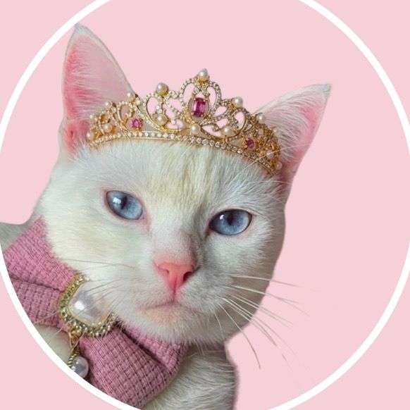 Marie Scheyla | Cat Influencer