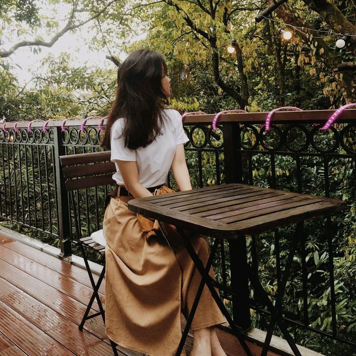 Bông Hồng Nhung✿