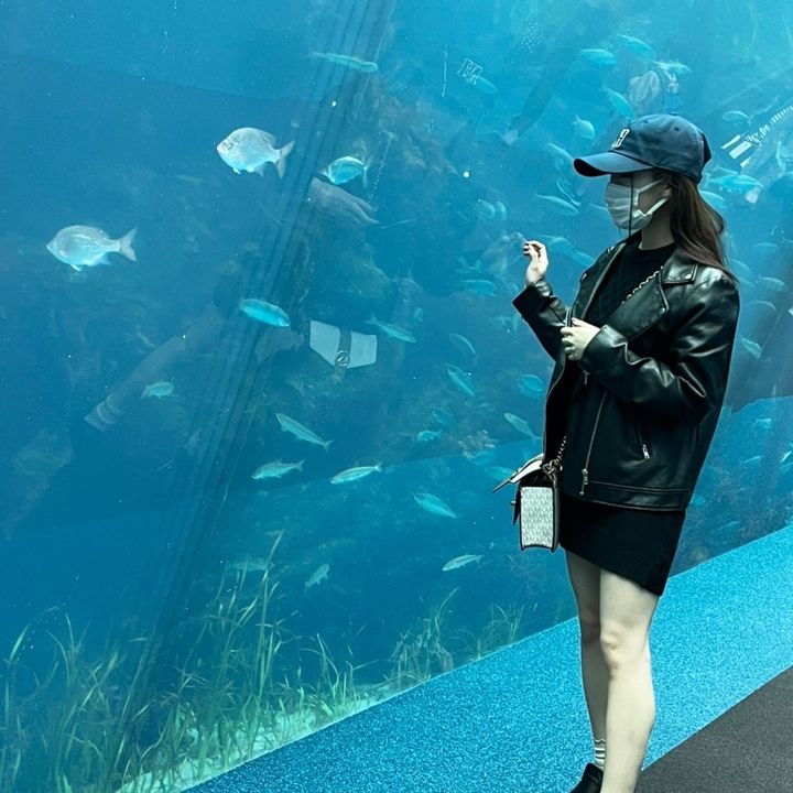 ゴメス ポール