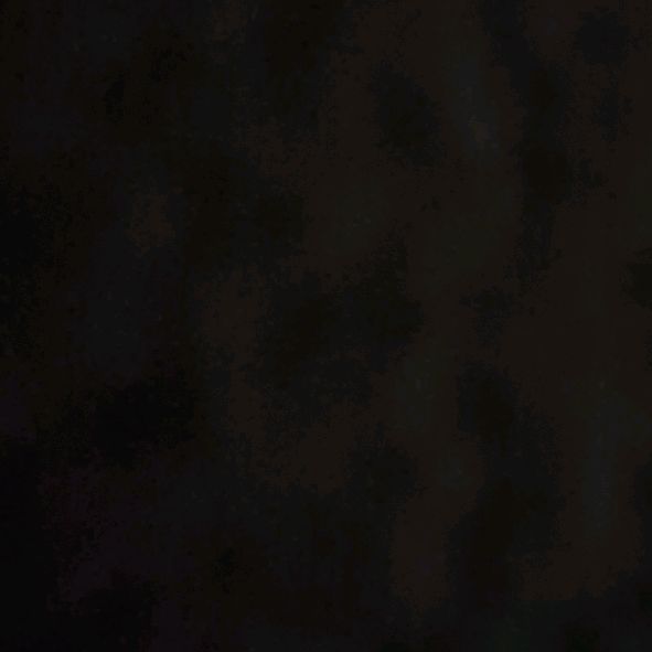 L+