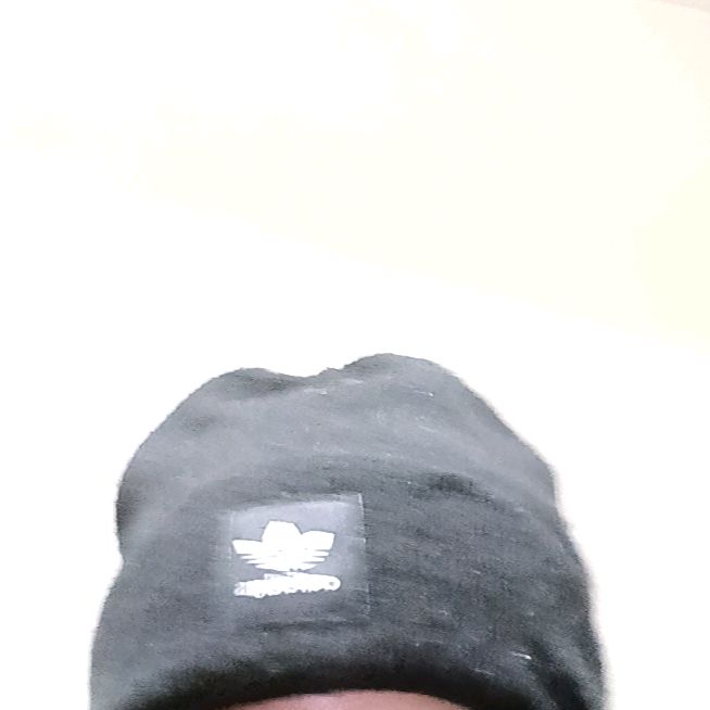 いぬピ―
