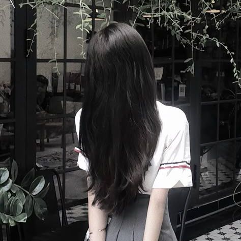 Lan Chi Shop