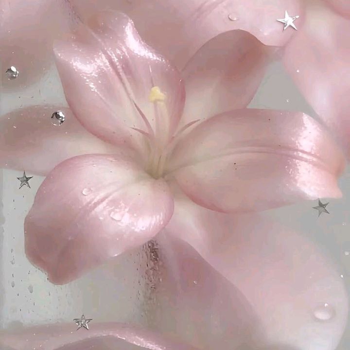 🎀𝕝𝕦𝕔𝕪𝕓𝕓𝕪🎀