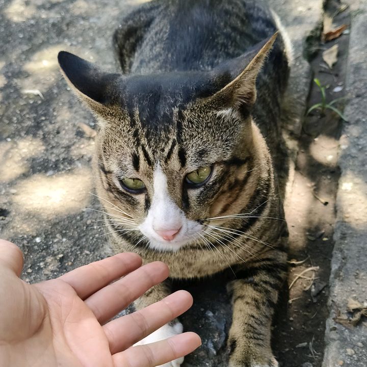 เศรษฐีนีน้องใหม่😊