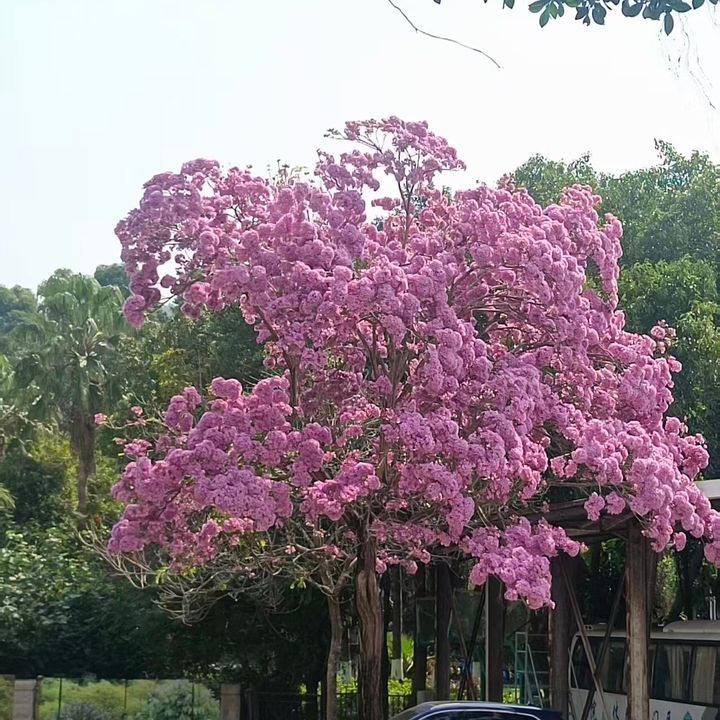 hgv5qek835