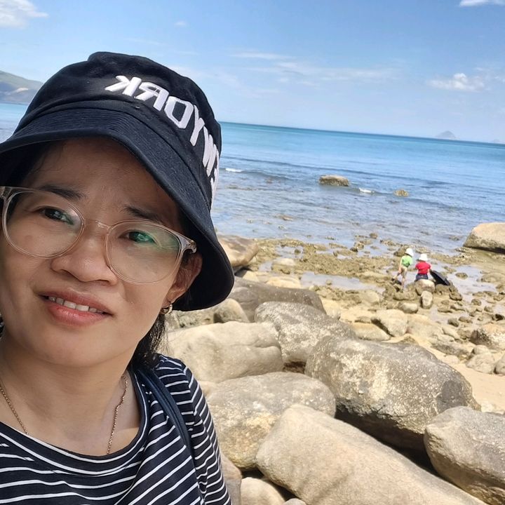 Sương Mèo Gia Dụng