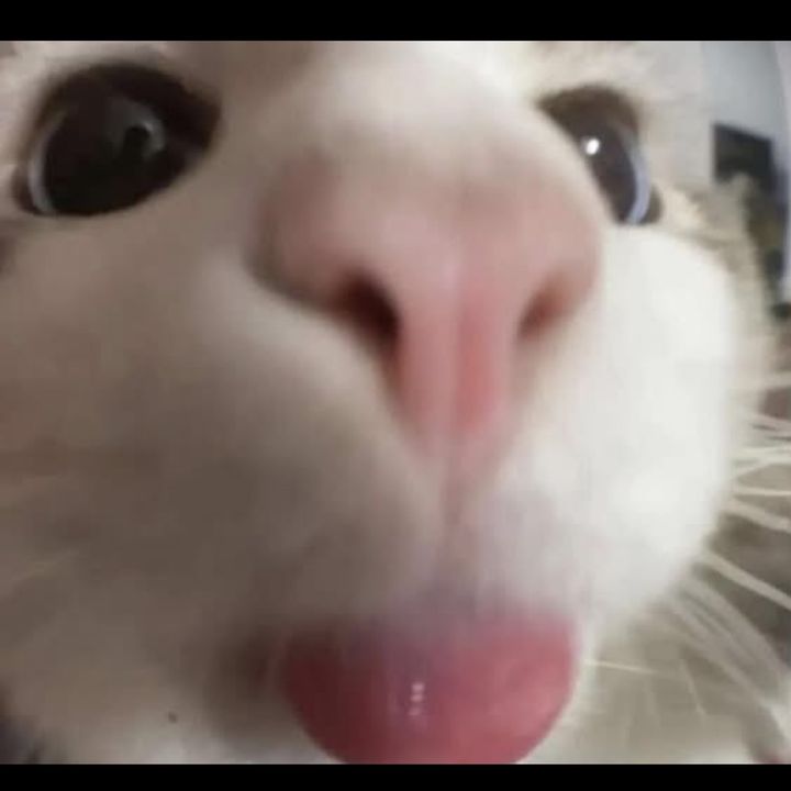 kumaha nya?