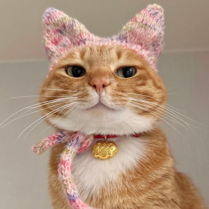 cbffpudkm0