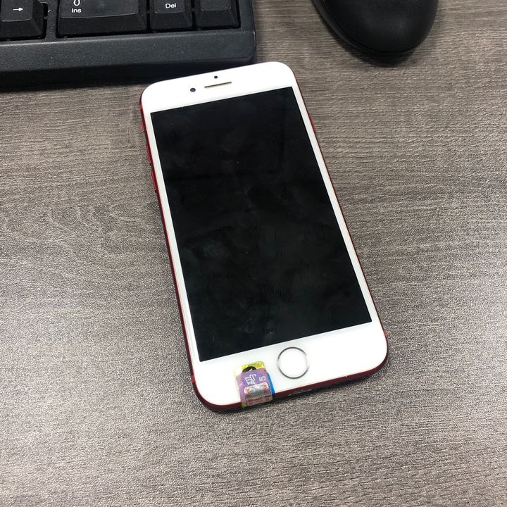 bobcinbyt7