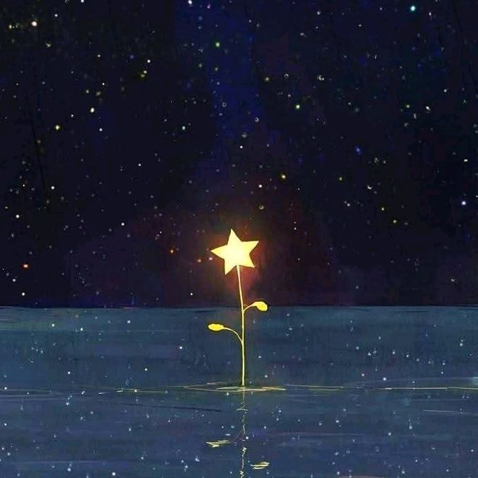 Estrelinha| TiK Tok Shop