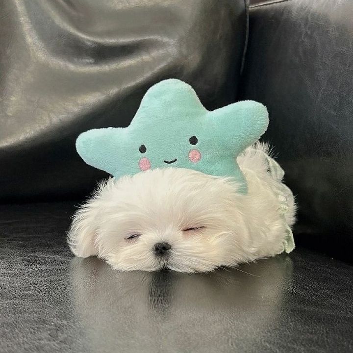 ℳ❤︎
