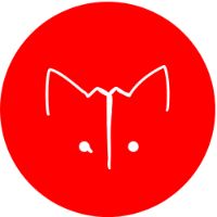 Mamo the Pomsky