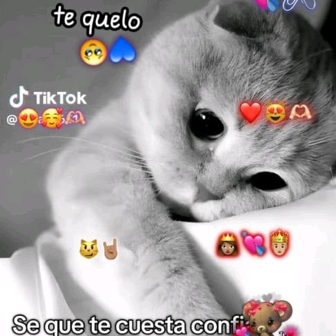 Bely Cruz prz 52 🥵🐼🙊