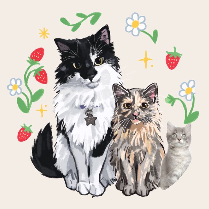Pawfect kitties ˙⟡ᢉ𐭩