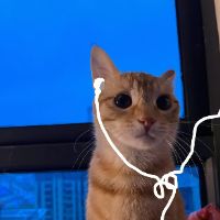 dwhpzsty