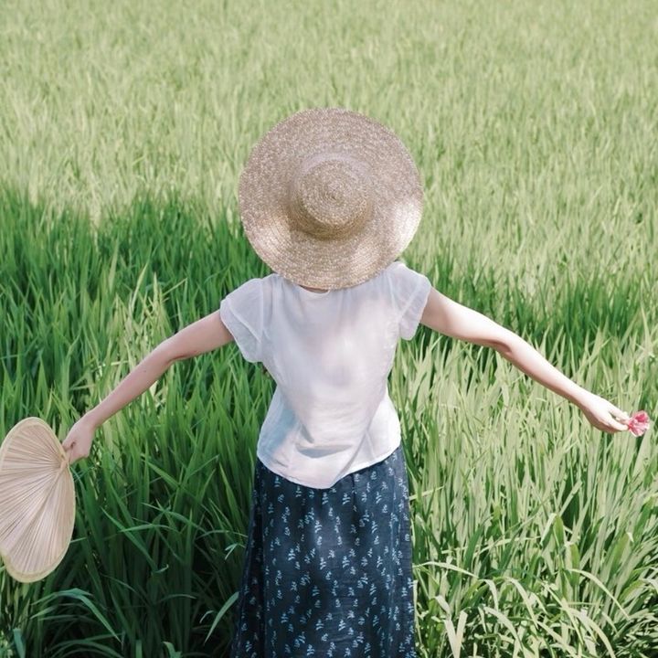 コメコメ
