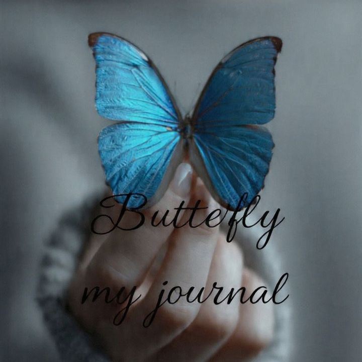 🦋Butterfly my journal