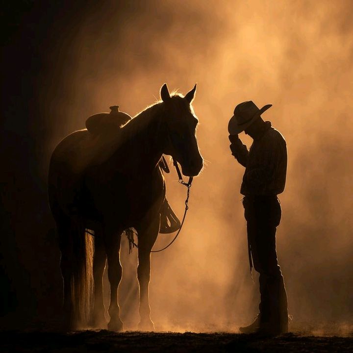 Campo & Cavalo