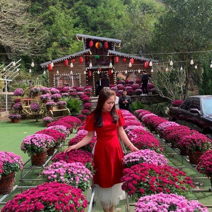 Trang nhà quê