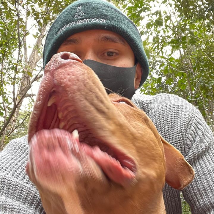 バウンスチャンネル🐶🍖