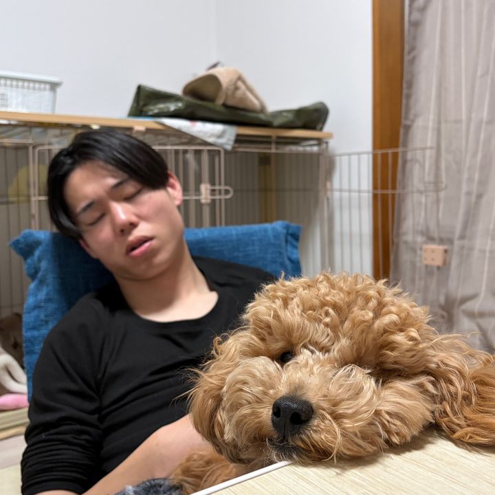 ちゃろまろ