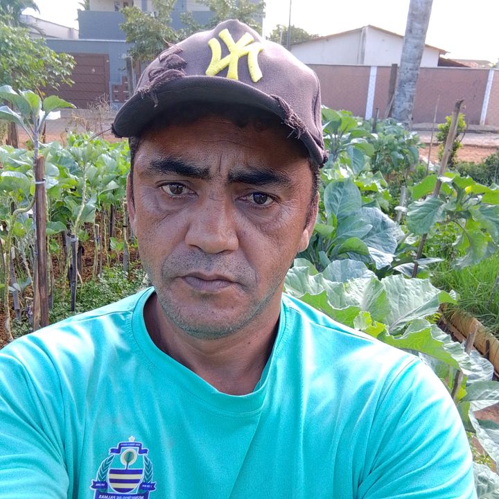 Francisco produções