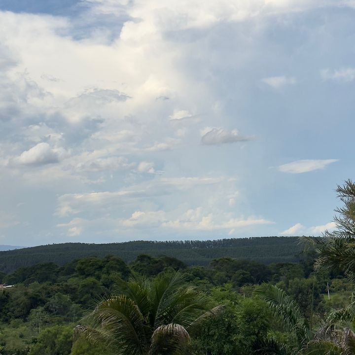 busqueosenhoremquntopode