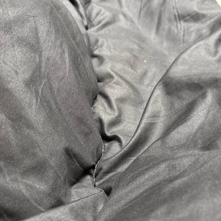 さかちゃんです