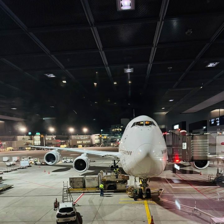 AirVibes 👑✈️