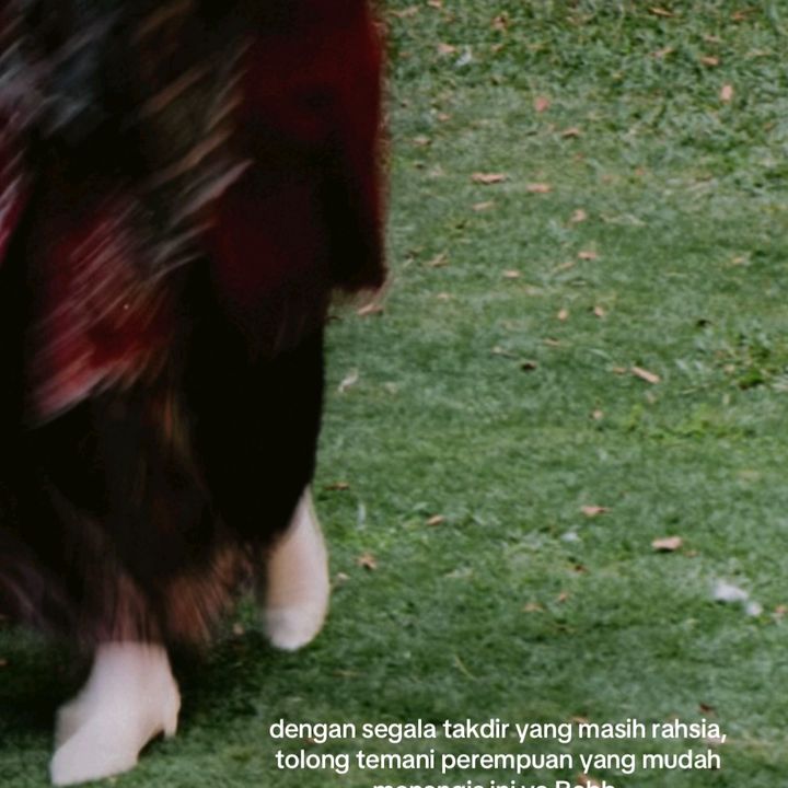 Mengs