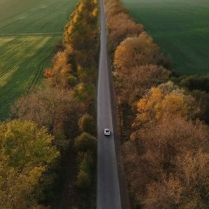 S.M.