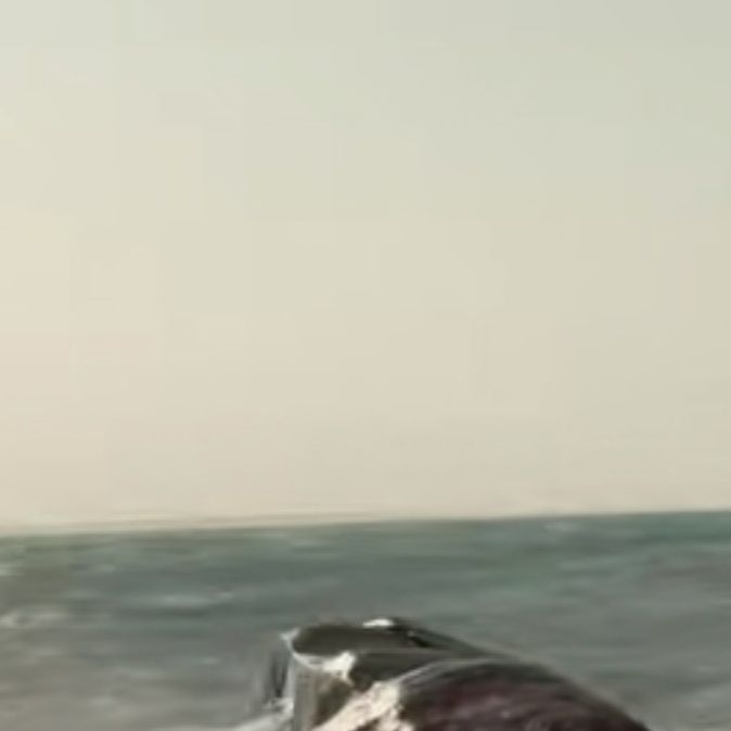 Logan0063