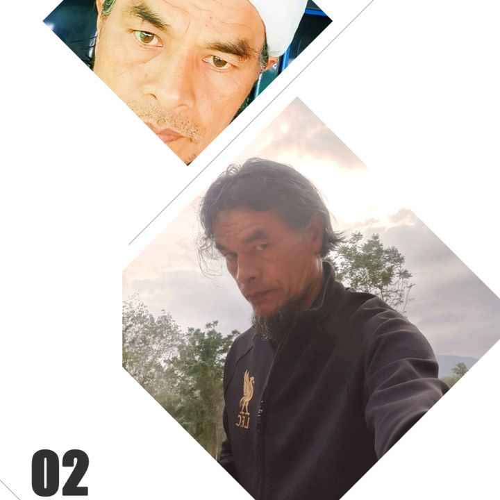 arnut