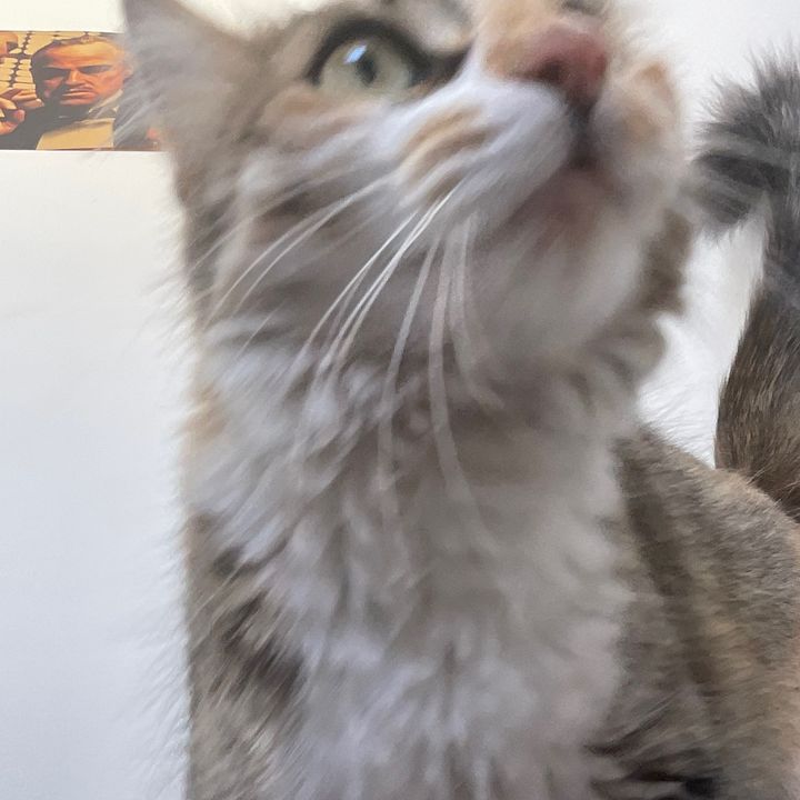 Sam