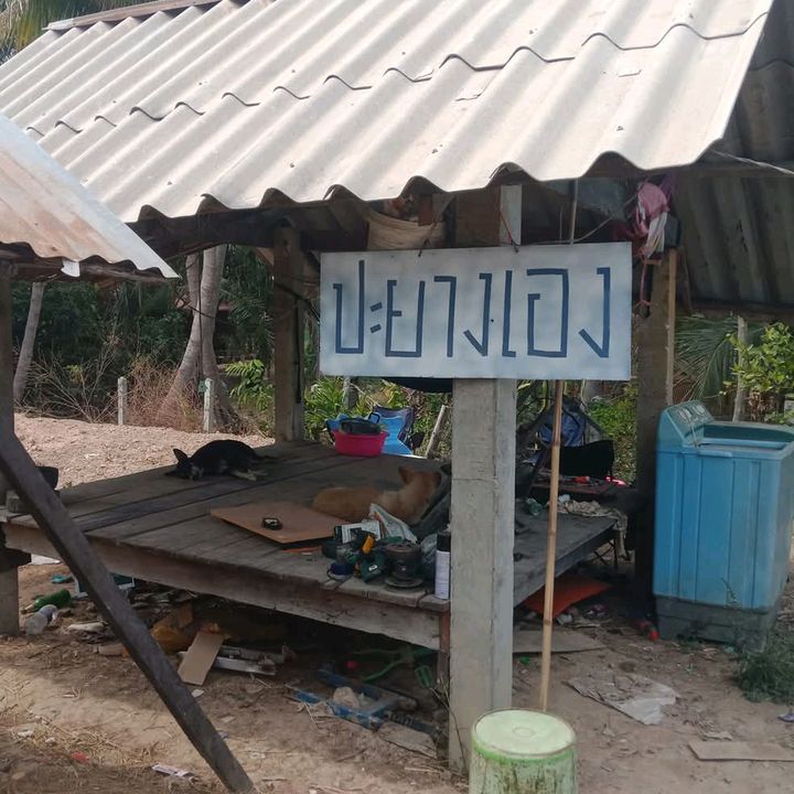 ฉันไม่ใช่ช่างช่างไม่ใช่ฉัน
