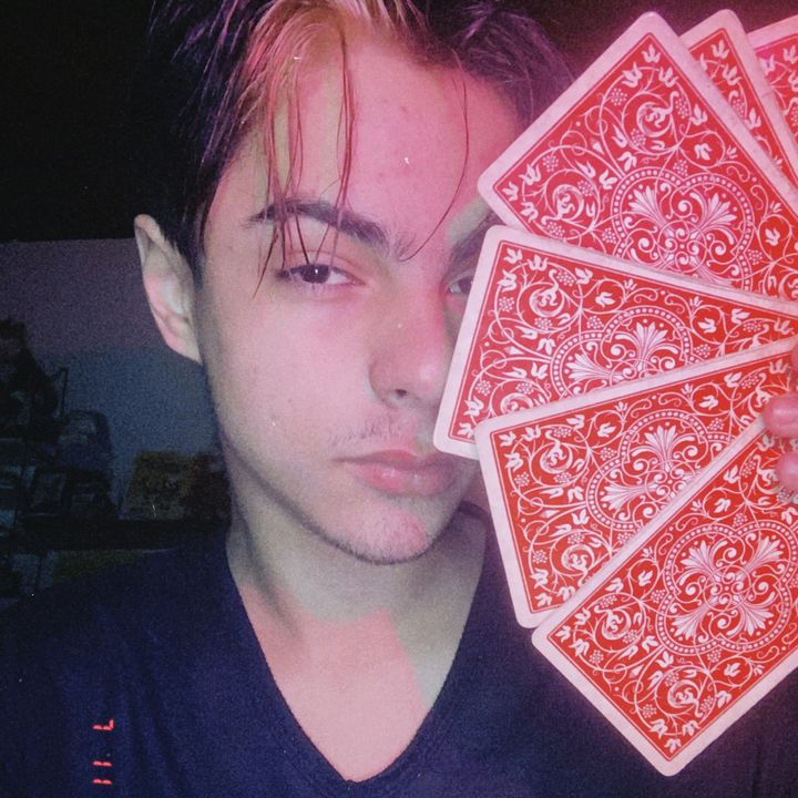 ovelha mistica || cartomante
