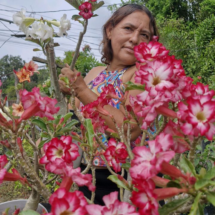 Yanett Lopez M.la mil usos