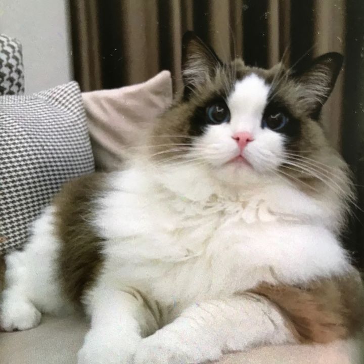Ana