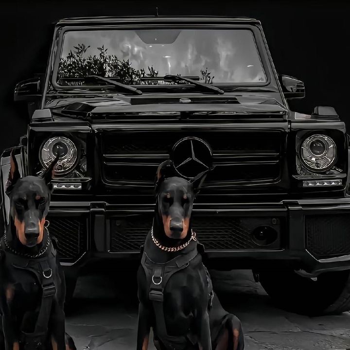 Car accessories